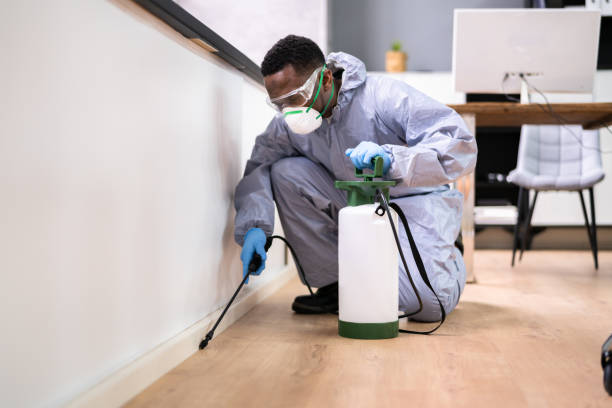 Best Indoor Pest Control  in Pawtucket, RI